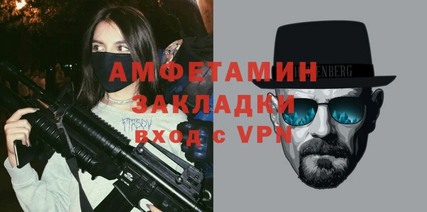 шишки Абаза