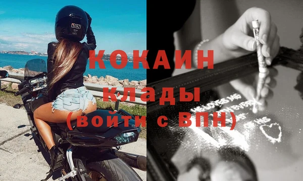 шишки Абаза