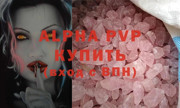 шишки Абаза