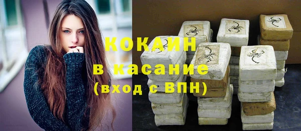 шишки Абаза