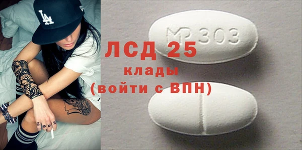 шишки Абаза