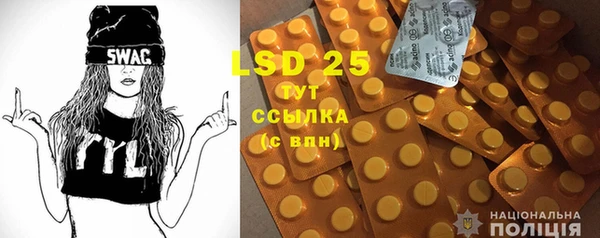 шишки Абаза